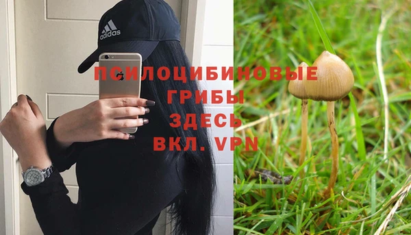 гашик Липки