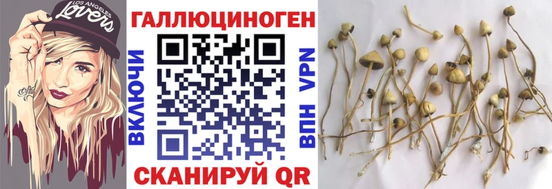 Галлюциногенные грибы ЛСД  Купить  Мещовск 